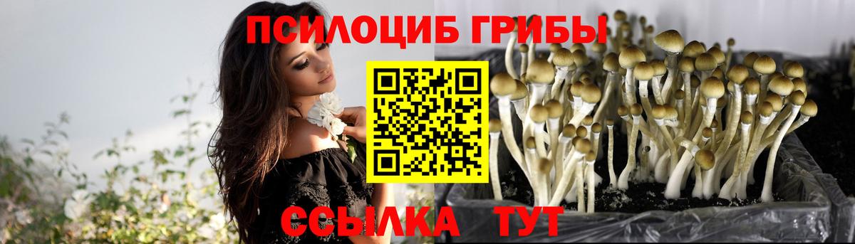 Соль-Илецк  Псилоцибиновые грибы мухоморы  где найти наркотики  Галлюциногенные грибы мицелий  Вход с VPN 